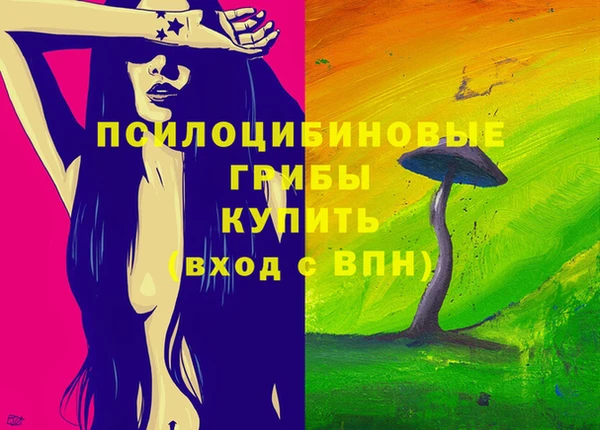 экстази Каменка