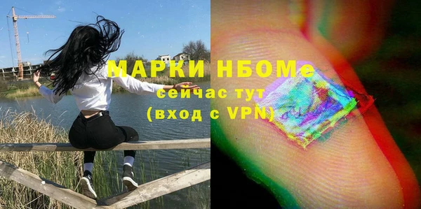 ГАЛЛЮЦИНОГЕННЫЕ ГРИБЫ Инта