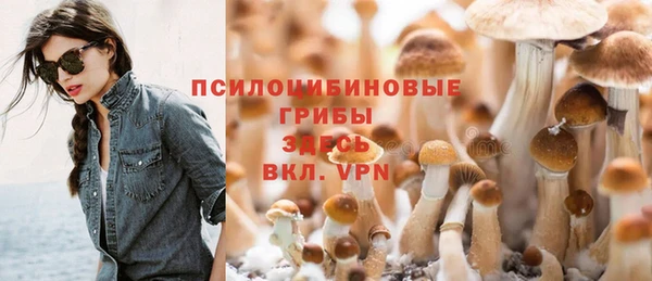 синтетический гашиш Тихвин