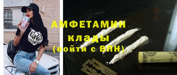 ГАЛЛЮЦИНОГЕННЫЕ ГРИБЫ Инта