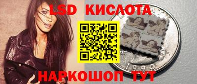 тгк Бердск
