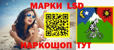 тгк Бердск