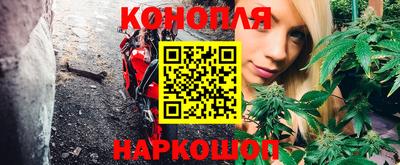 тгк Бердск