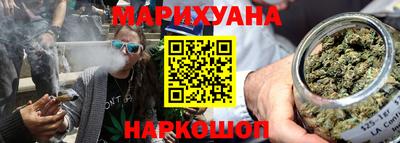 тгк Бердск