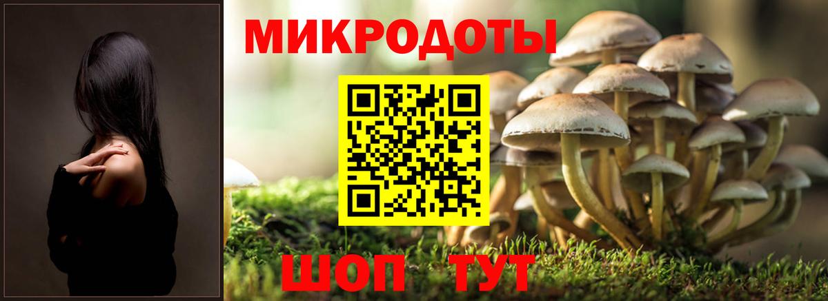 продажа наркотиков  Галлюциногенные грибы Magic Shrooms  Вход с VPN  Находка 