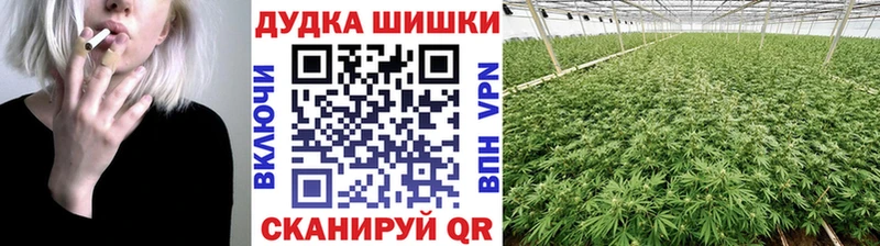 Каннабис MAZAR  как найти   Находка 